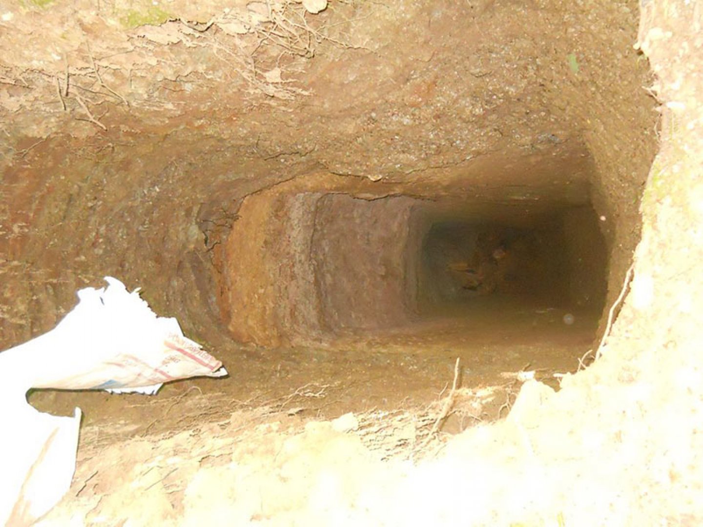 Иманяри разкопаха тракийска могила в Странджа - E-Burgas.com