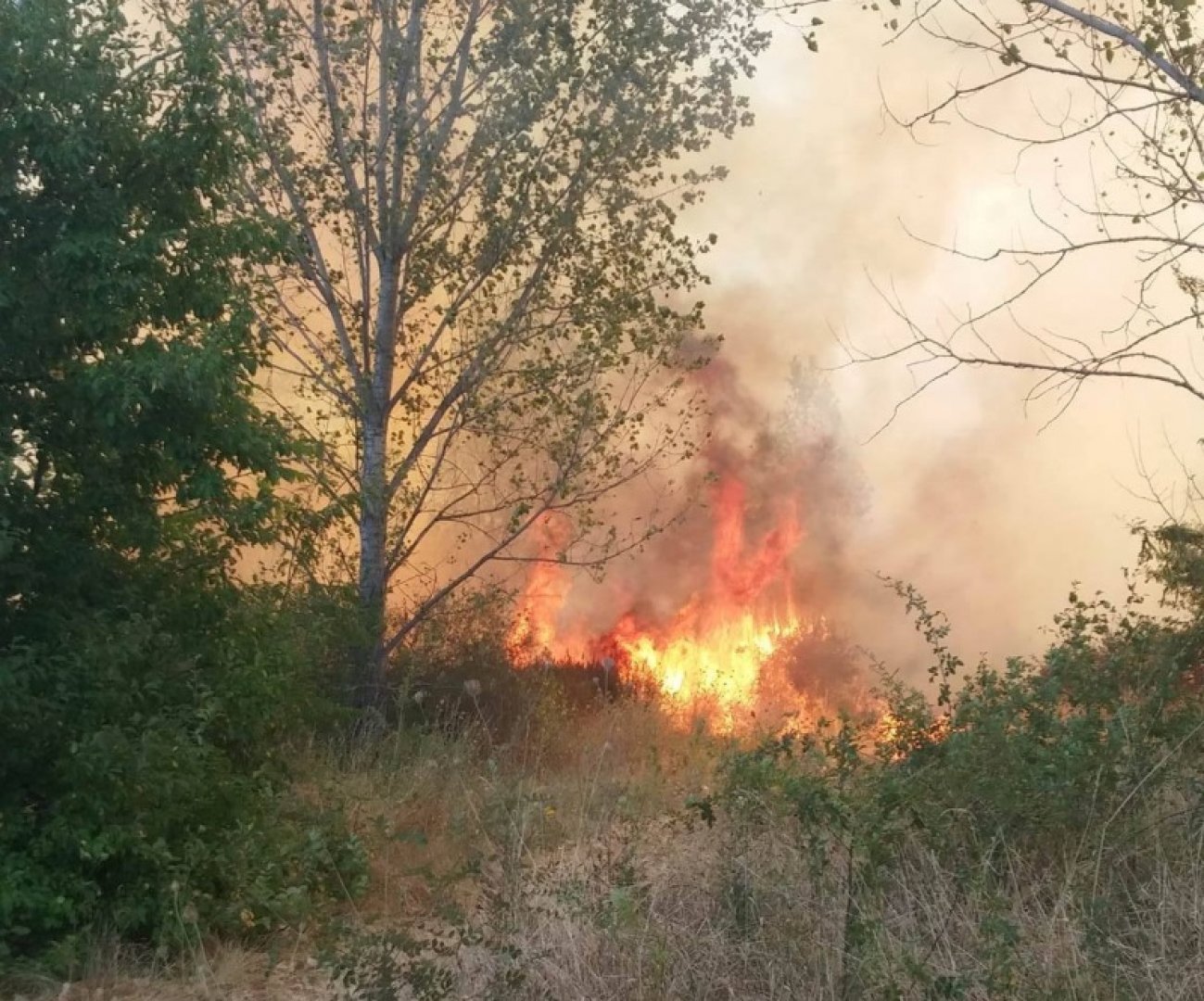 Бургас сред областите с опасност от пожари  - E-Burgas.com