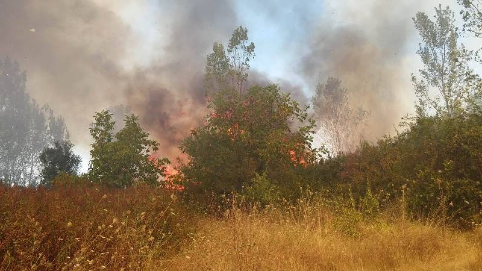 Остава в сила опасността от пожари в Бургаско - E-Burgas.com