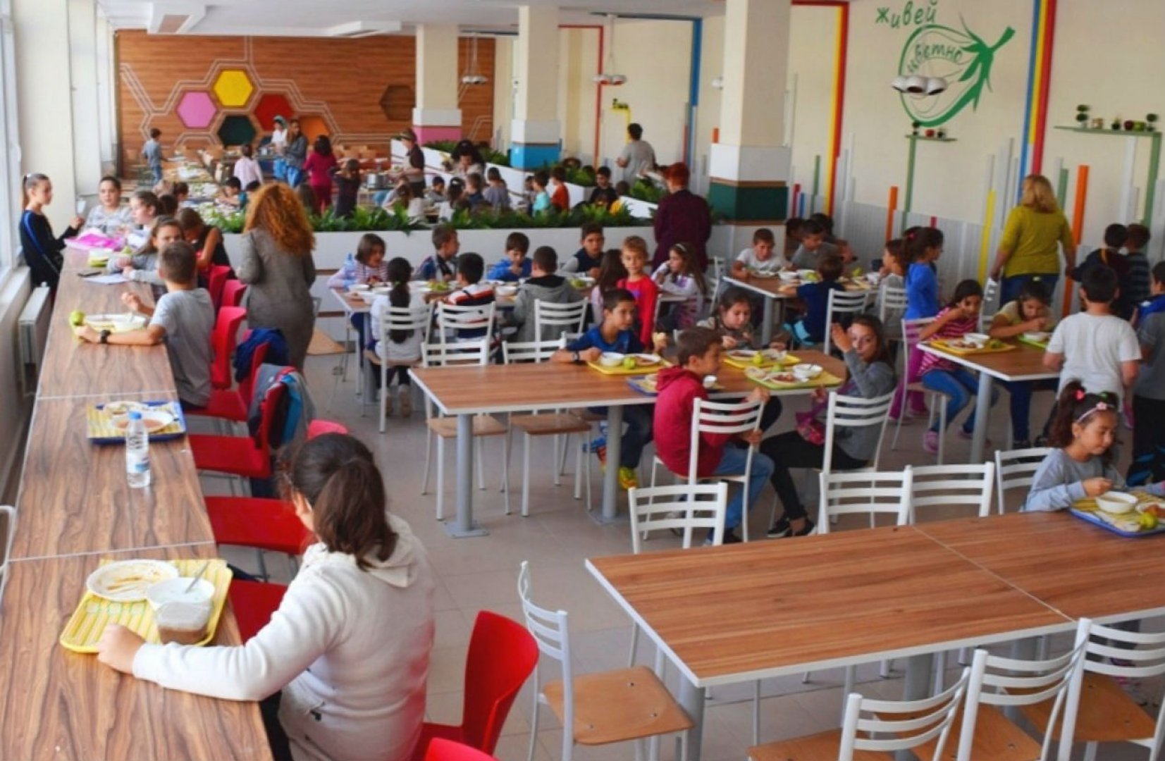 Хаос в наредбата остави стотици училища без мляко и плод  - E-Burgas.com