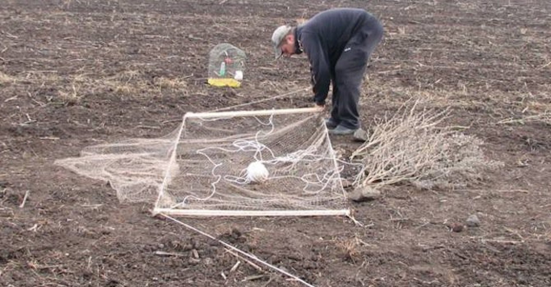 Хванаха мъж да лови врабчета край Банево, отнесе глоба от РИОСВ - E-Burgas.com