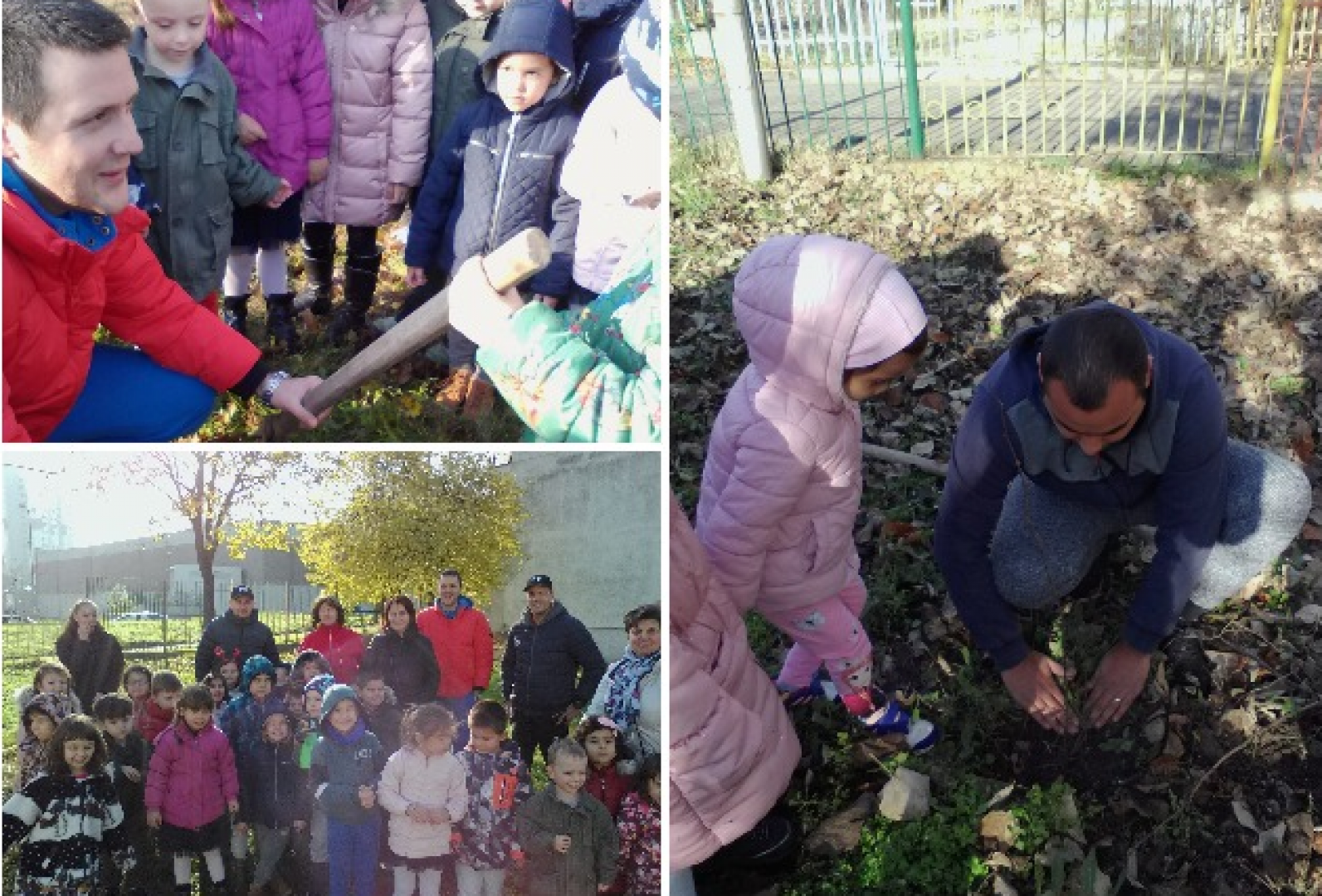 Засадиха 100 дръвчета в двора на бургаска детска градина  - E-Burgas.com