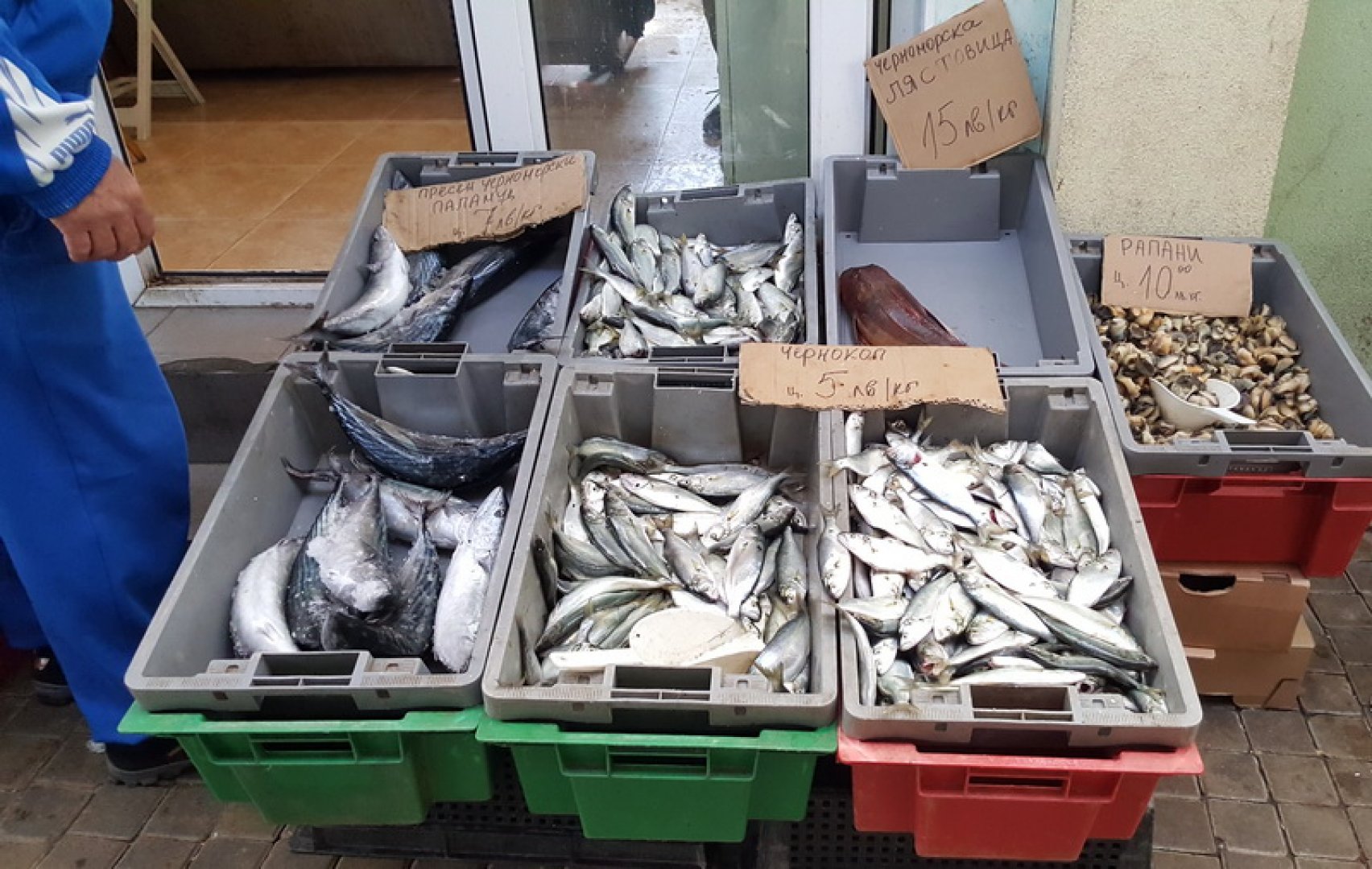 И ДАМТН подхвана продавачите на риба в навечерието на Никулден  - E-Burgas.com