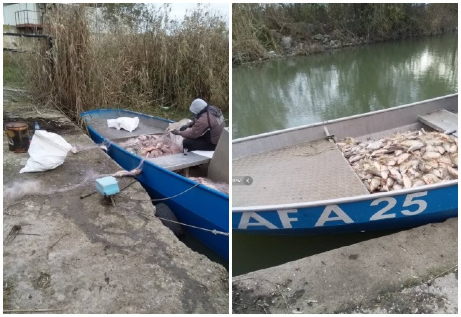 Удар на ИАРА: Иззеха близо тон риба при проверка на Мандра - E-Burgas.com