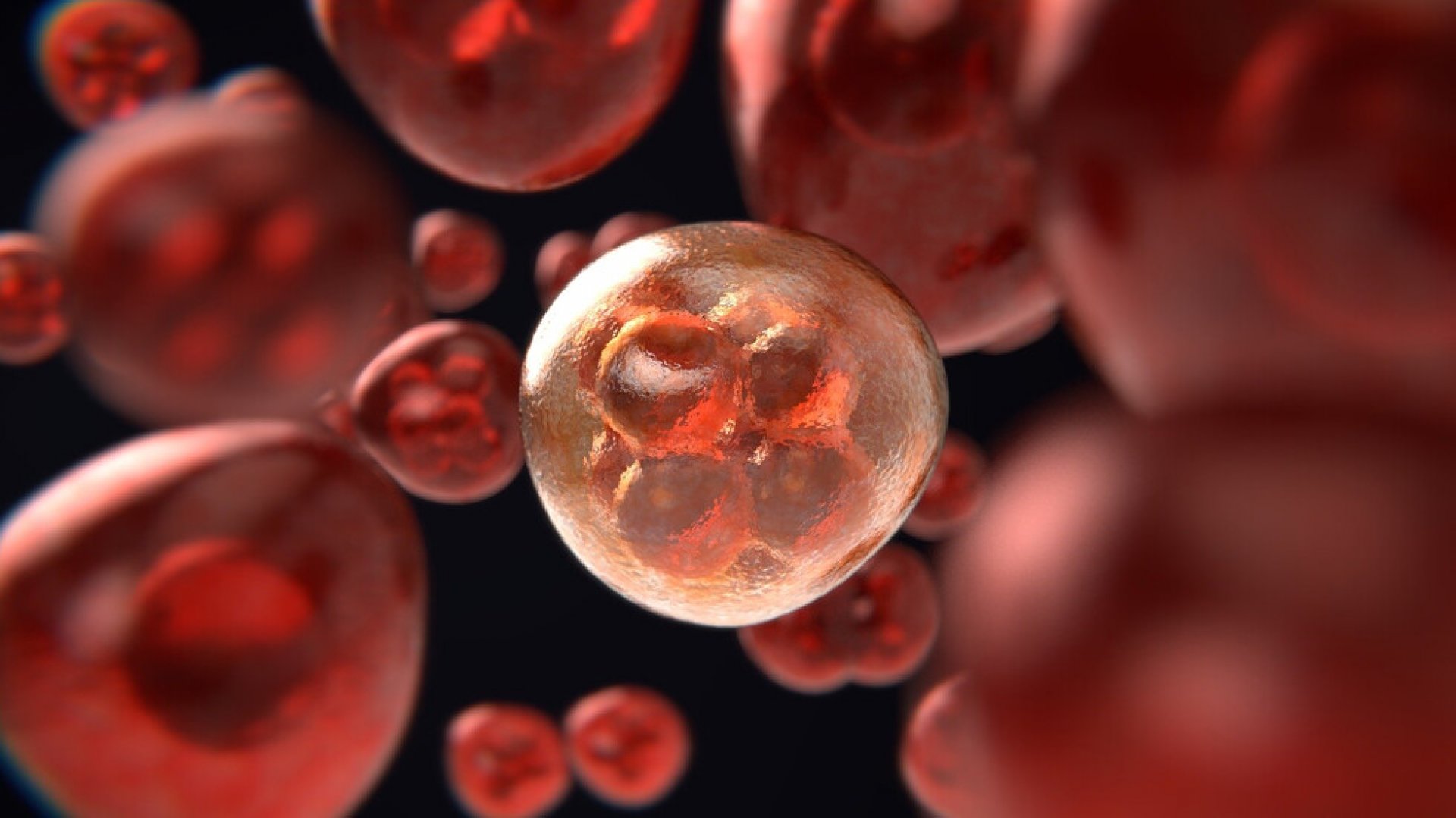 Учени откриха нов вид клетка, която убива ракови образувания - E-Burgas.com