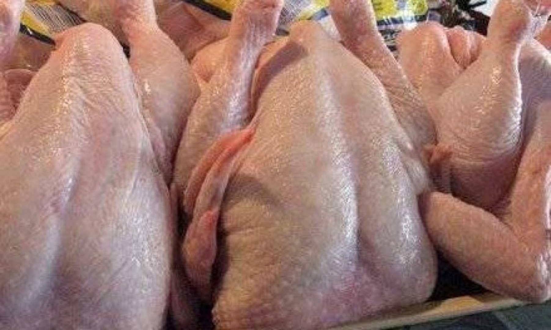 Иззеха три пратки със замразено пилешко със салмонела, този път идват от Полша - E-Burgas.com