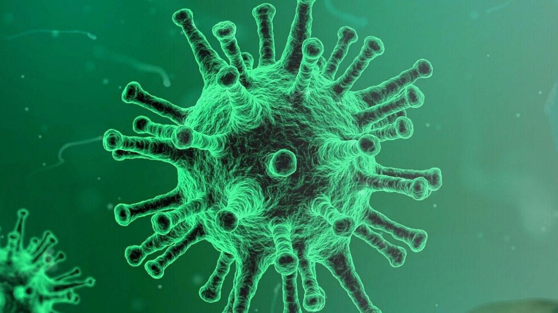 Шеста жертва с коронавирус у нас, броят на заразените достигна 331 - E-Burgas.com