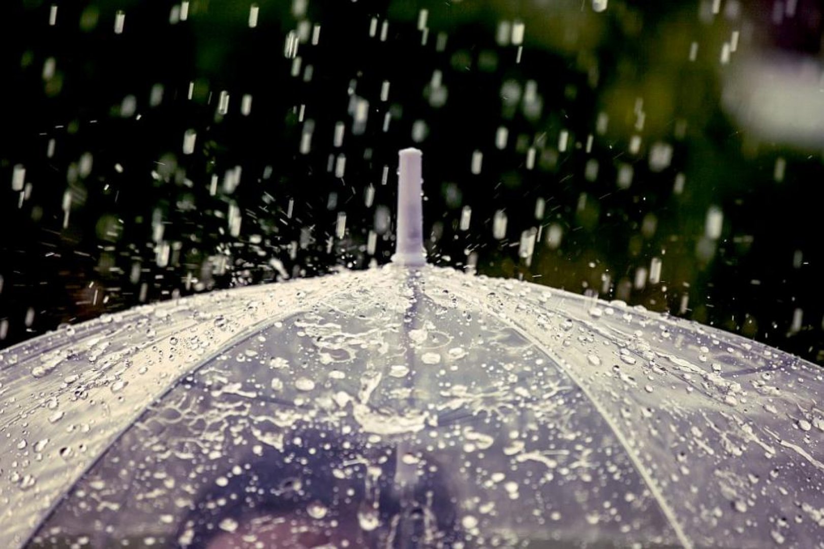 Предстои дъждовна седмица с пролетни бури - E-Burgas.com