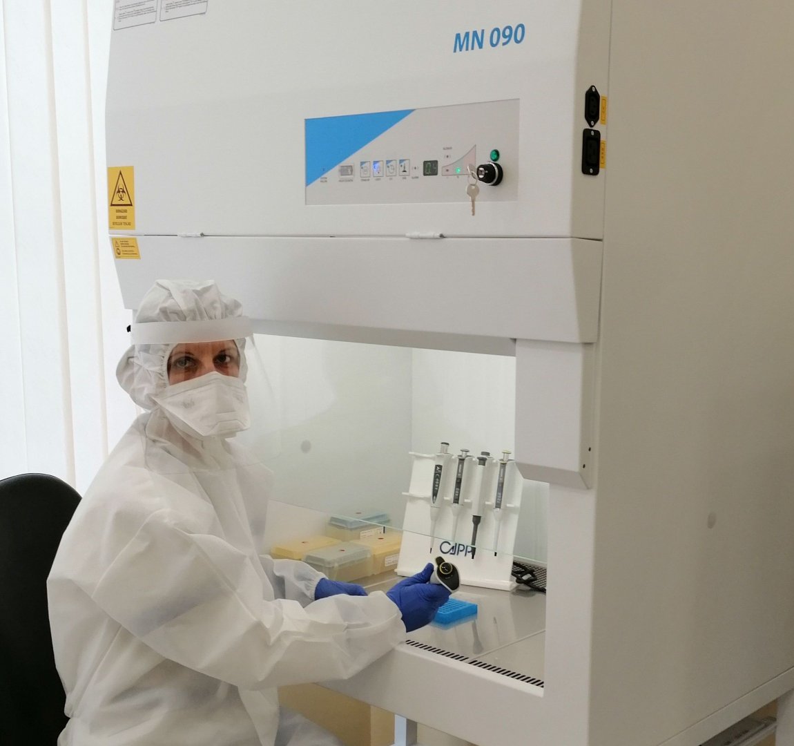 Важно за работодатели: Real-time PCR и бързи тестове за коронавирус с пакетни цени за фирми и организации  - E-Burgas.com
