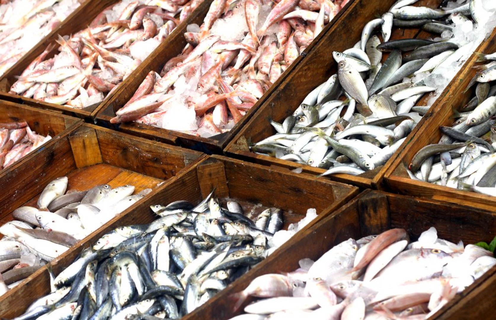 И рибата става задължителна родна продукция в хипермаркетите?  - E-Burgas.com