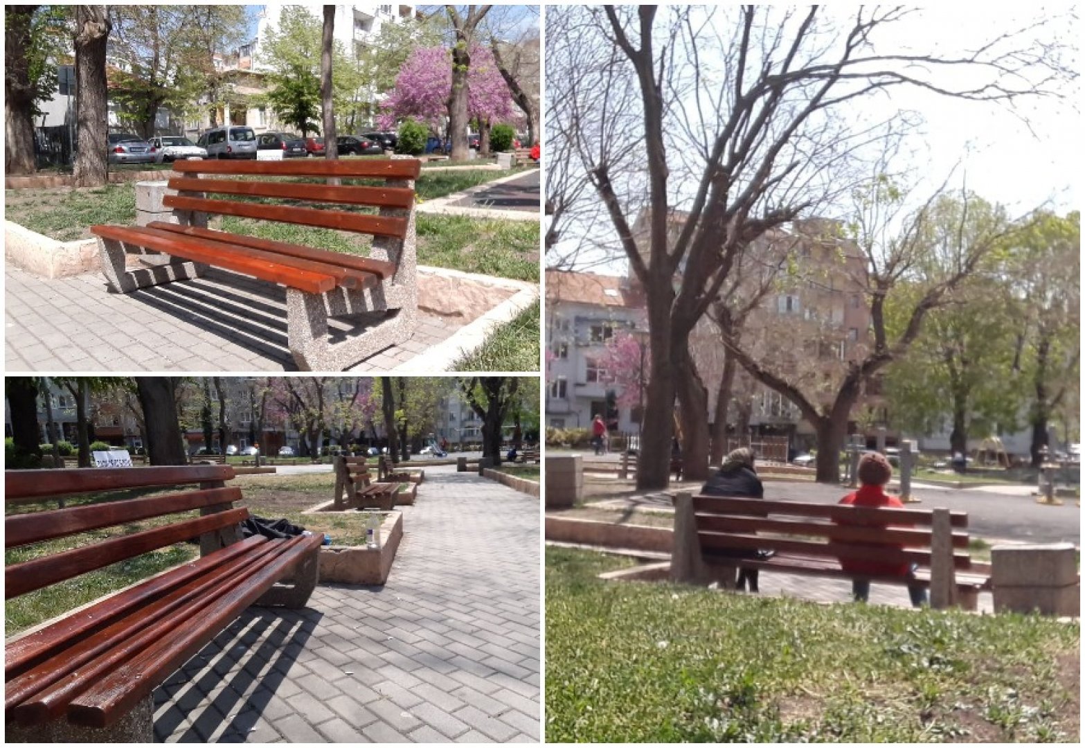 Върнаха пейките в Борисовата градинка, хората вече сядат по тях  - E-Burgas.com