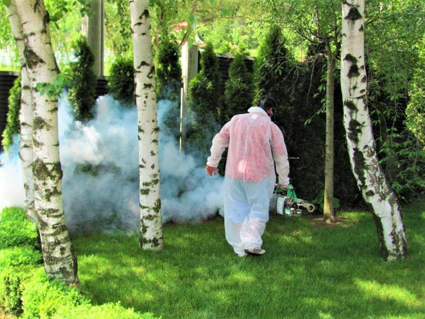 Бургас продължава битката с комарите, започва масово пръскане в парковете - E-Burgas.com