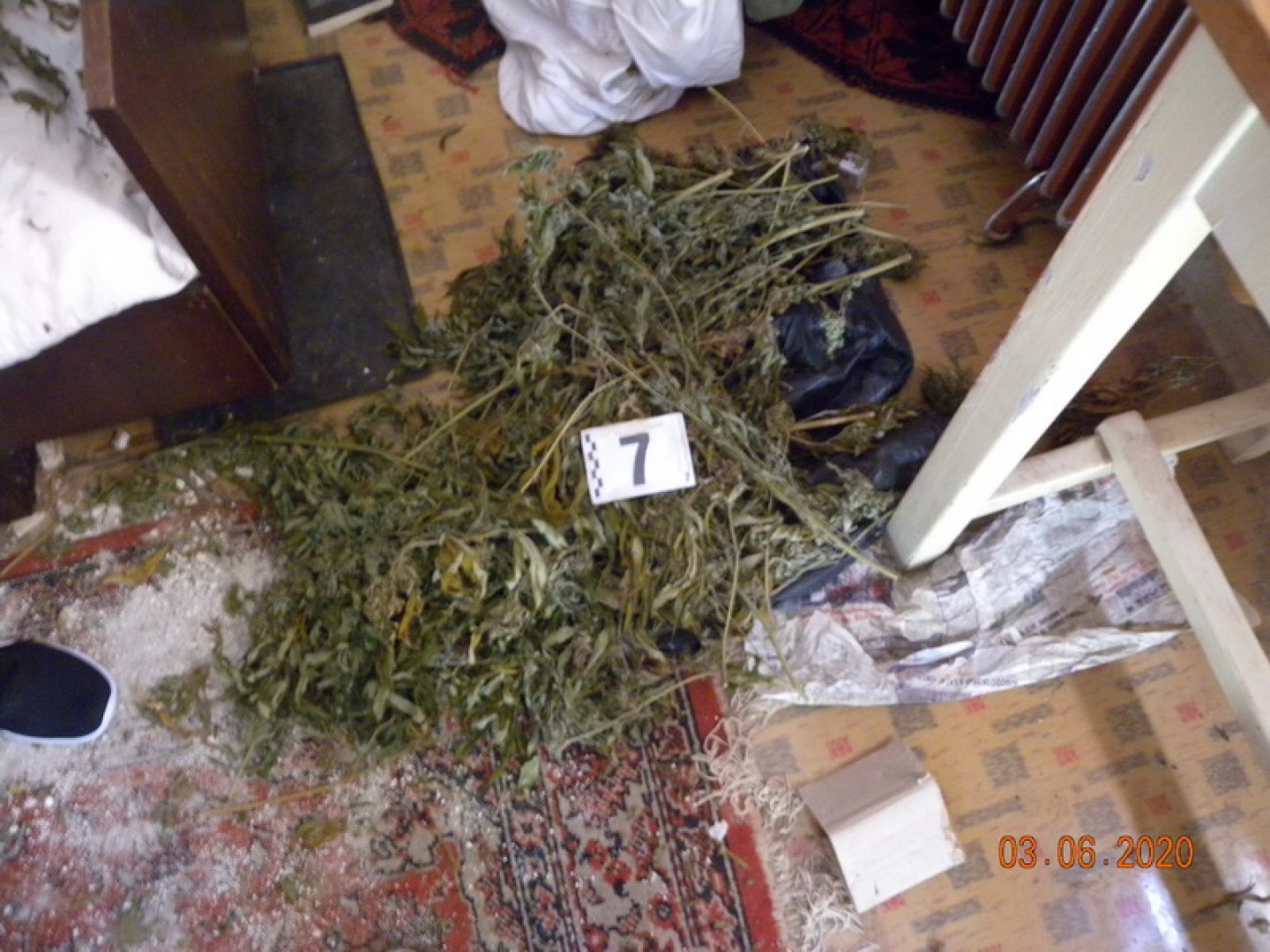 Нова акция на полицията в Бургаско: Намериха 5 кила марихуана в къща в Грозден (Снимки) - E-Burgas.com