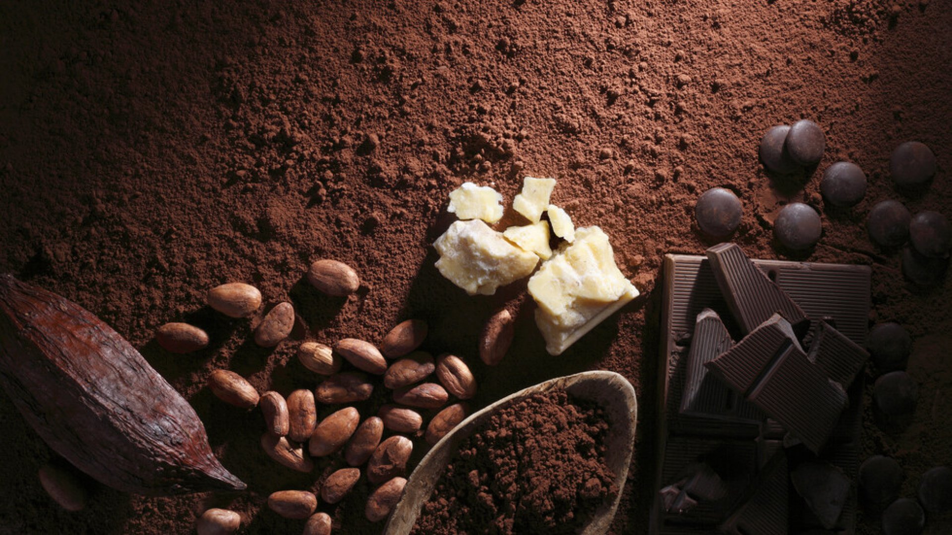 Шоколадът укрепва имунната система - E-Burgas.com