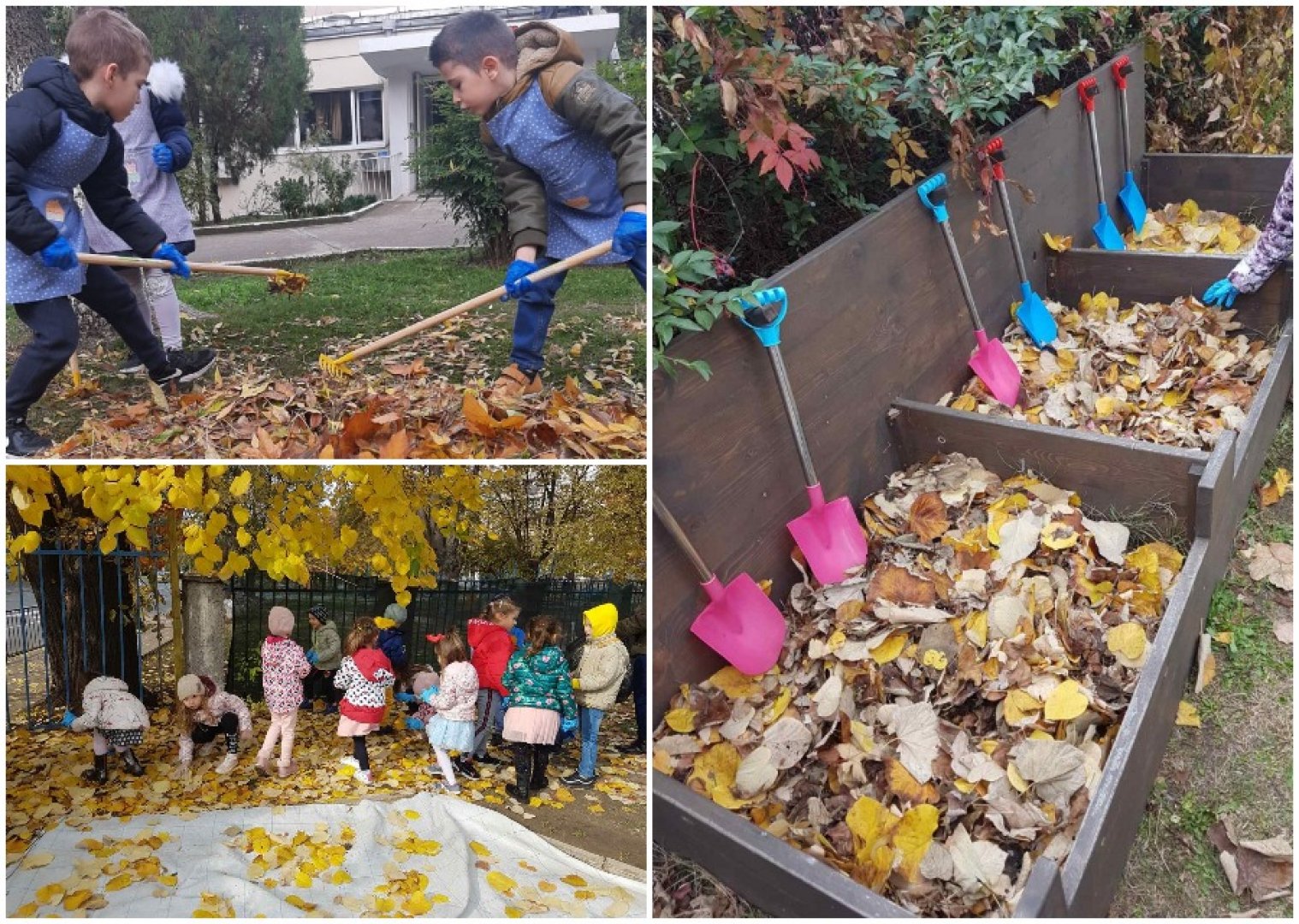 Бургаските детски градини ще компостират листата в двора - E-Burgas.com