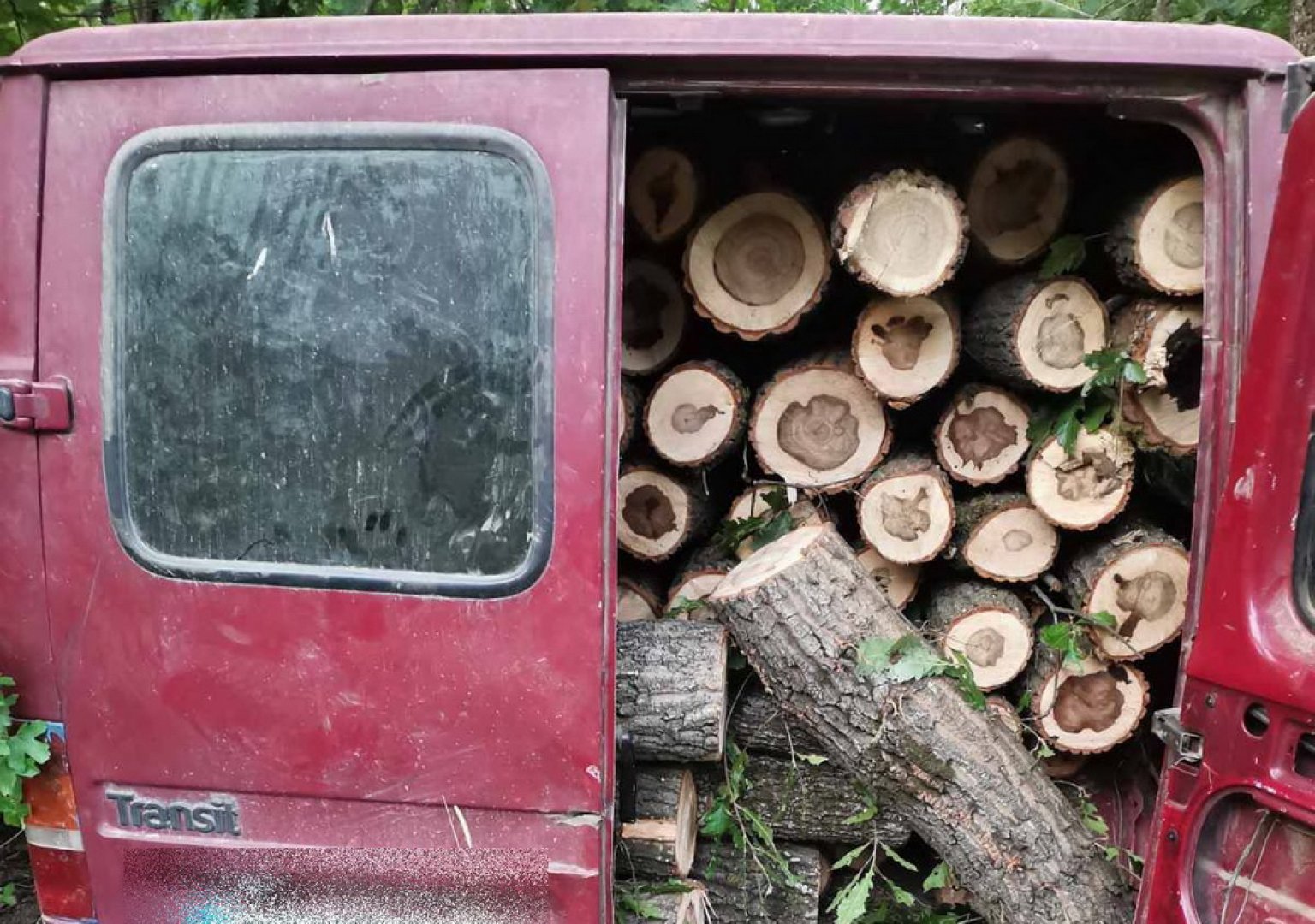 Горски задържаха 80 кубика дървесина за последната седмица - E-Burgas.com