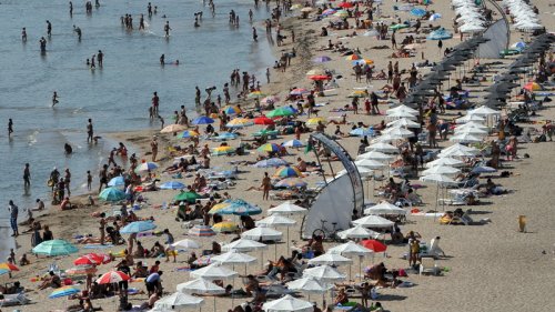 Хотелиери: Слънчев бряг е полезен за лечение на вируси - E-Burgas.com