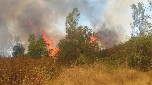 Пожарът между Лесичово и Калугерово отново се разгаря - E-Burgas.com