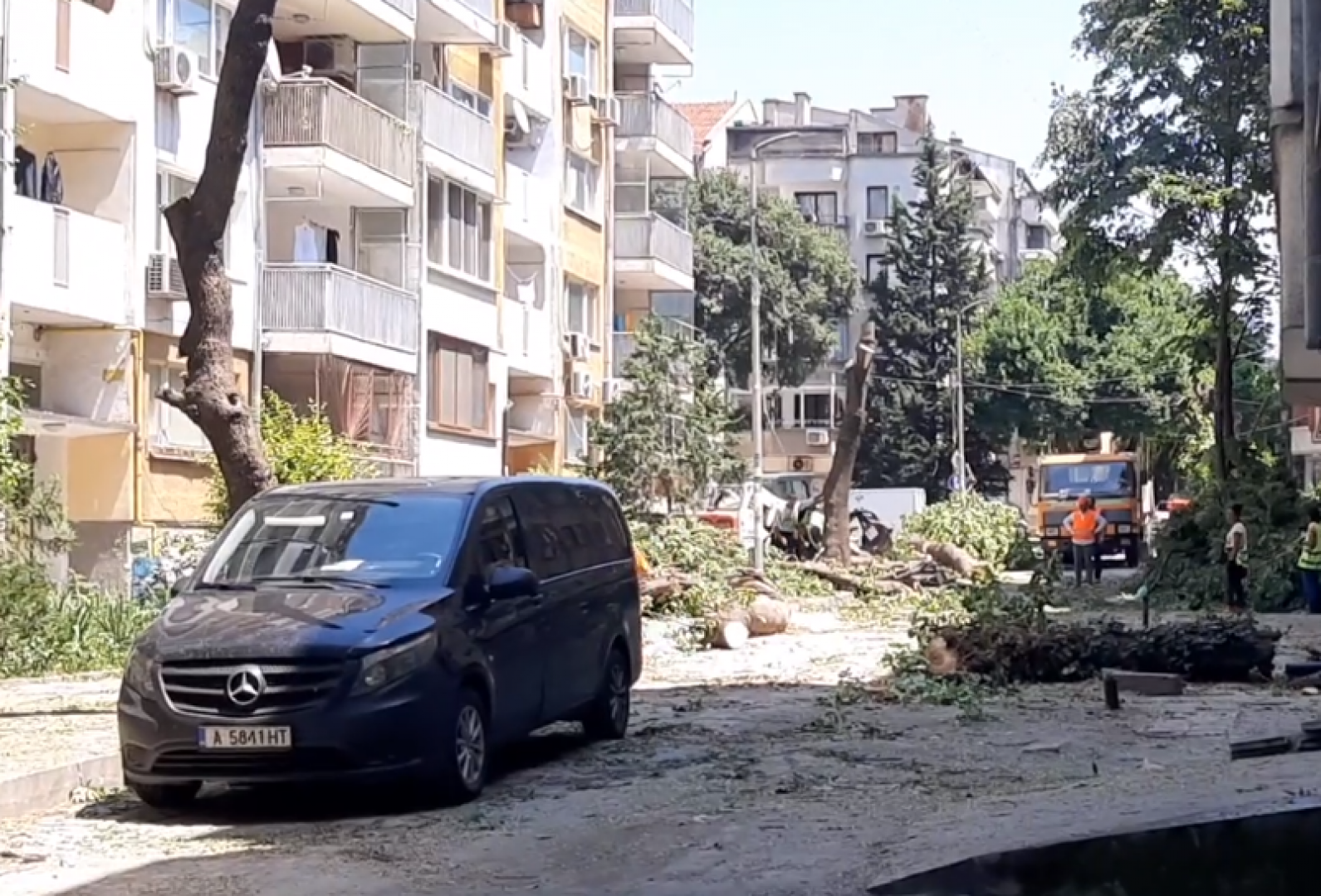 Намесват и прокуратурата в казуса с изсечените дървета в Бургас - E-Burgas.com