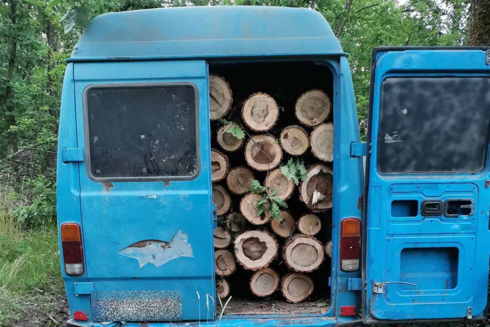 Горски задържаха камион с незаконна дървесина с Горно Езерово - E-Burgas.com