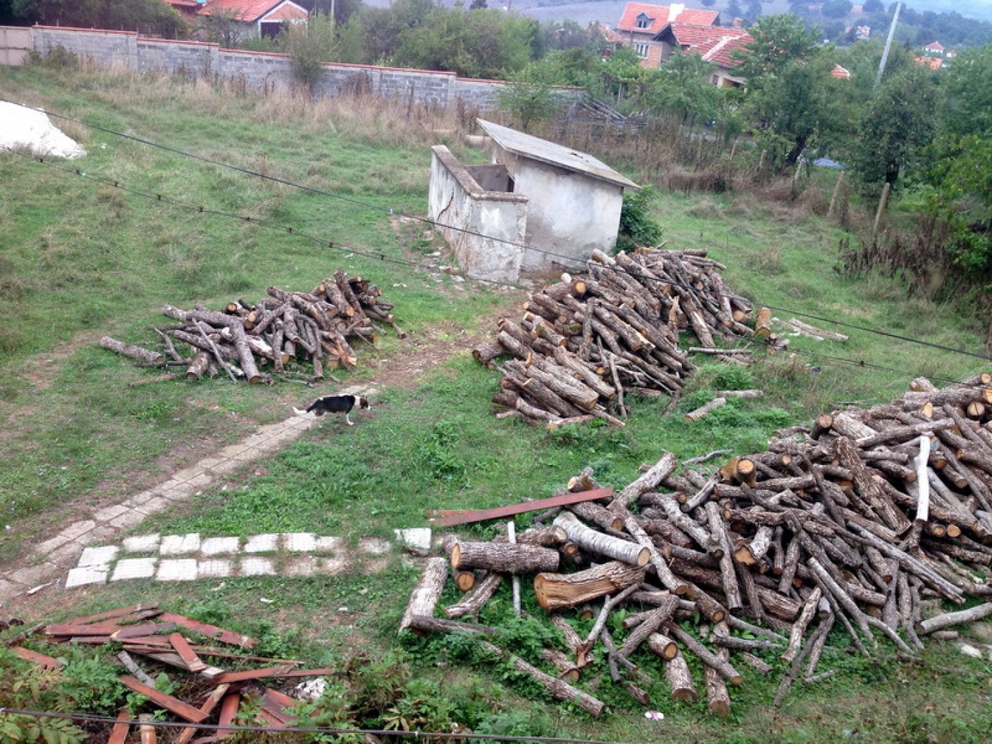 Отново стотици актове съставиха горските в страната - E-Burgas.com