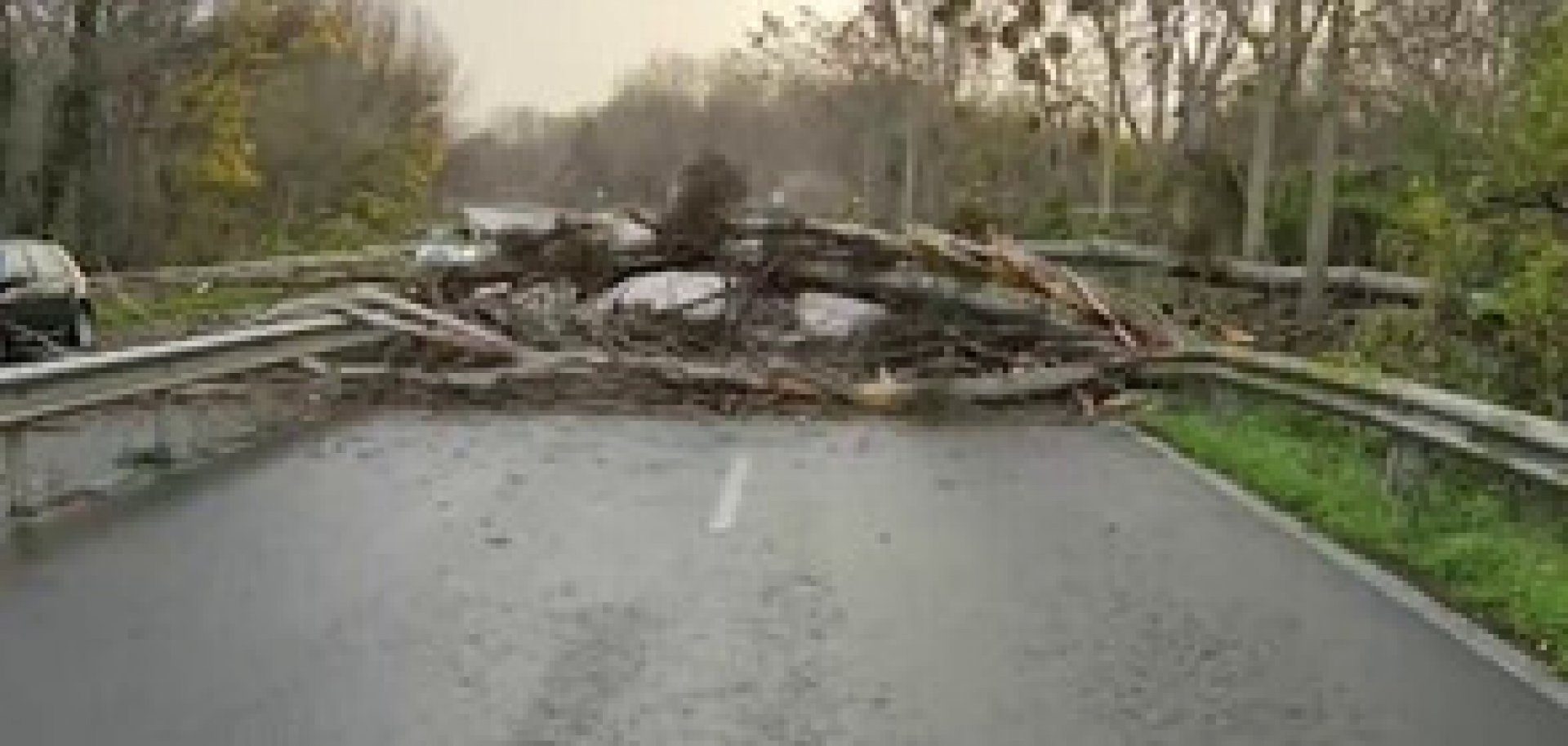 Ураганен вятър събори дърво на пътя Бургас - Созопол - E-Burgas.com