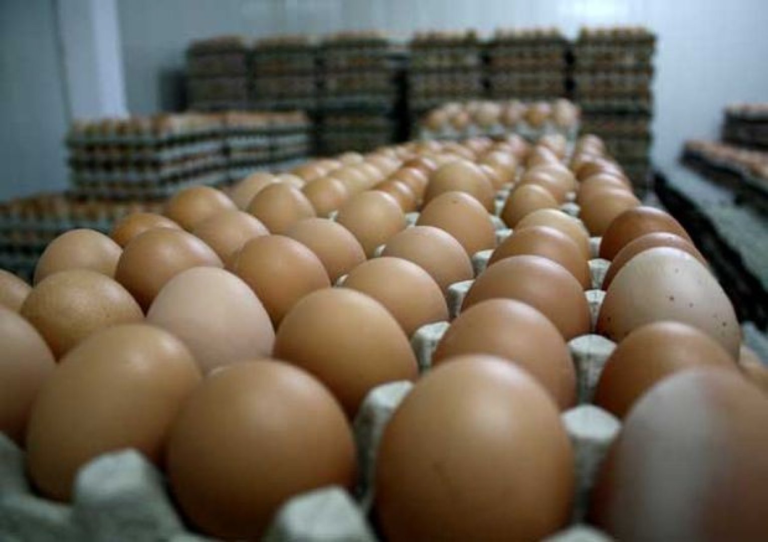 Има ли риск от недостиг на яйца за Великден - E-Burgas.com