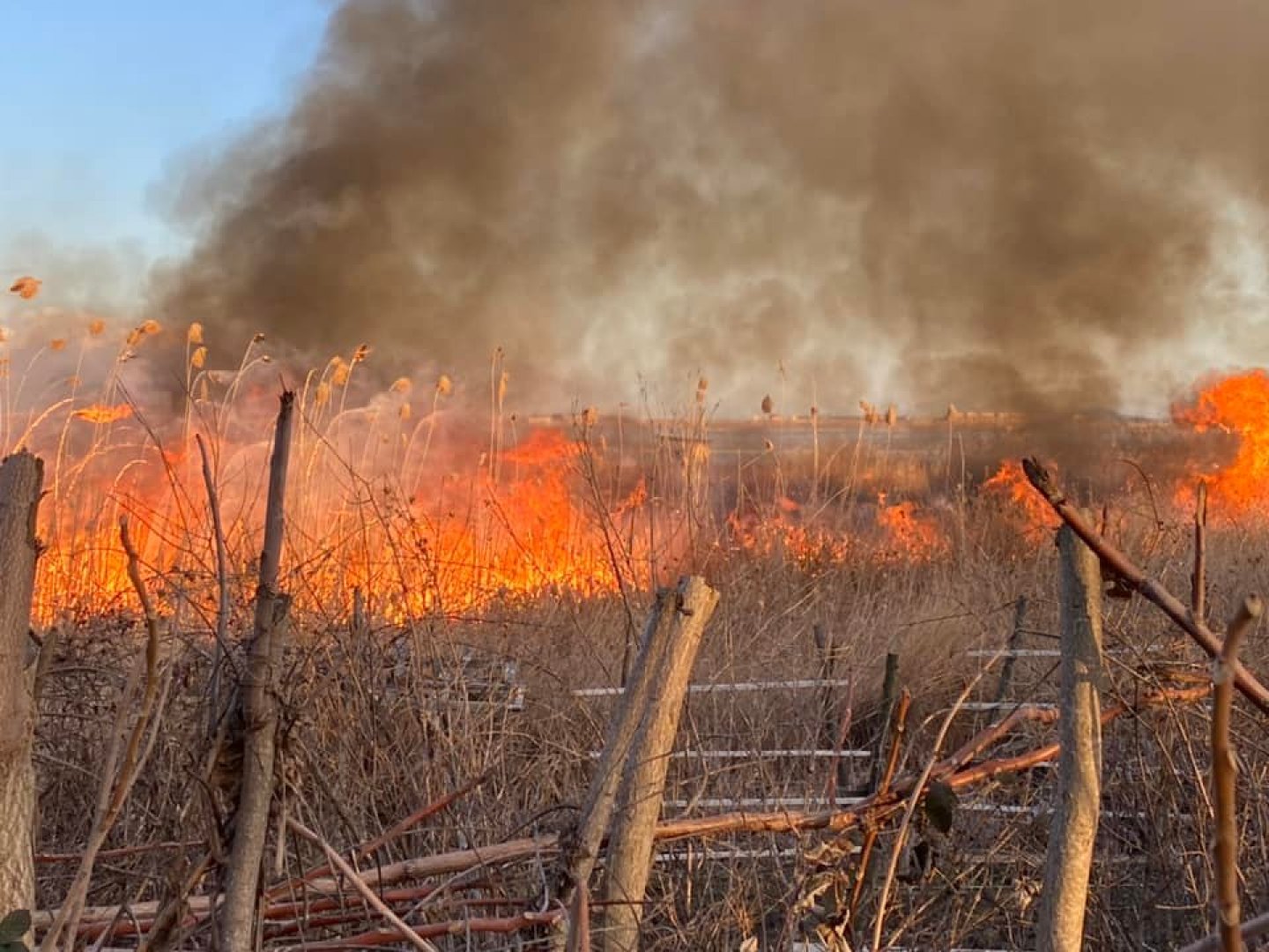 Пожар изпепели търстикови масиви и земеделски постройки край Атанасовското езеро - E-Burgas.com