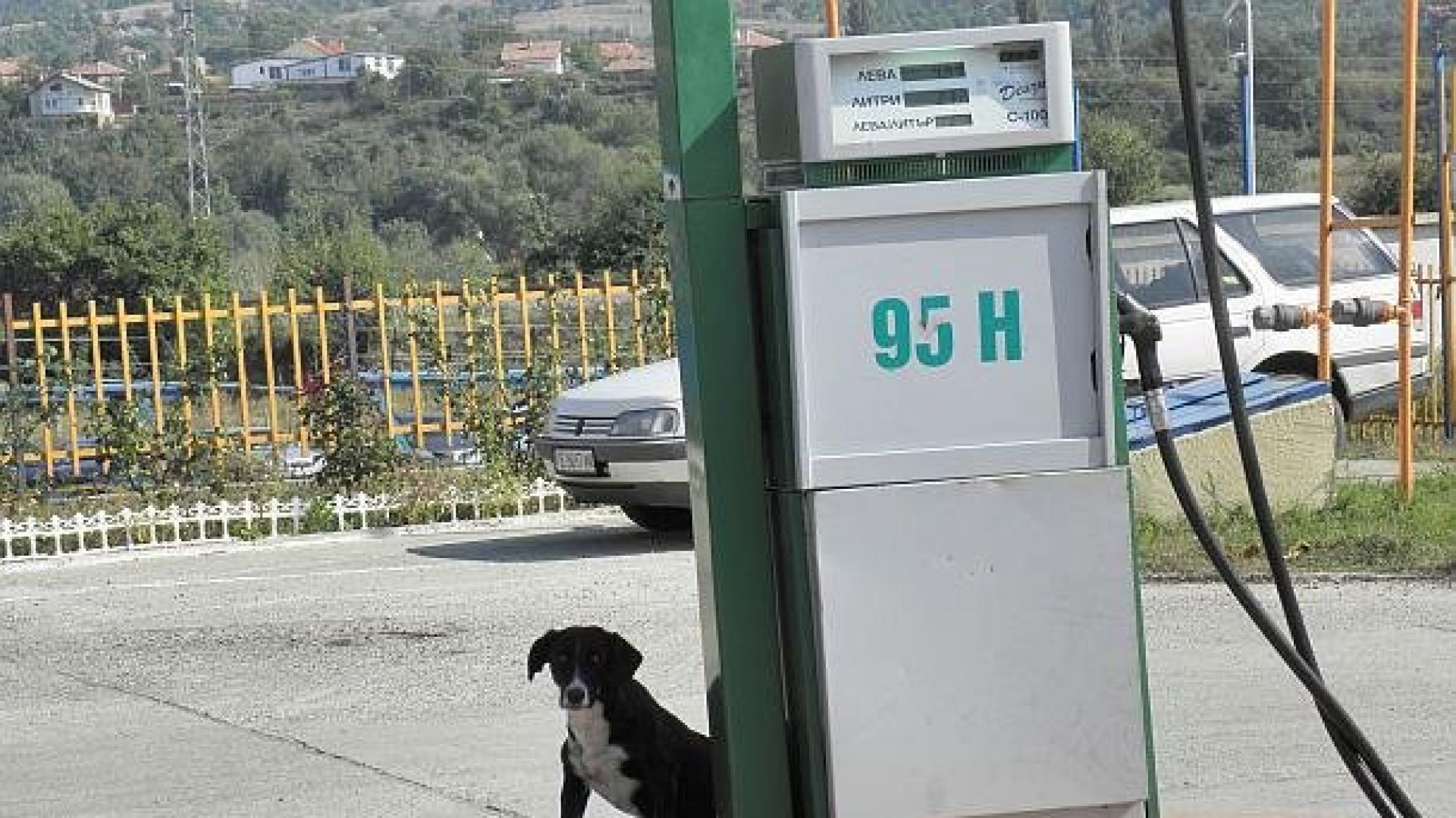 Очакват се фалити на малки бензиностанции у нас - E-Burgas.com