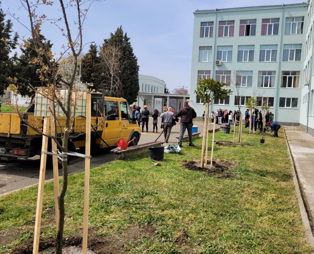 Нови дръвчета красят двора на училище в Поморие - E-Burgas.com