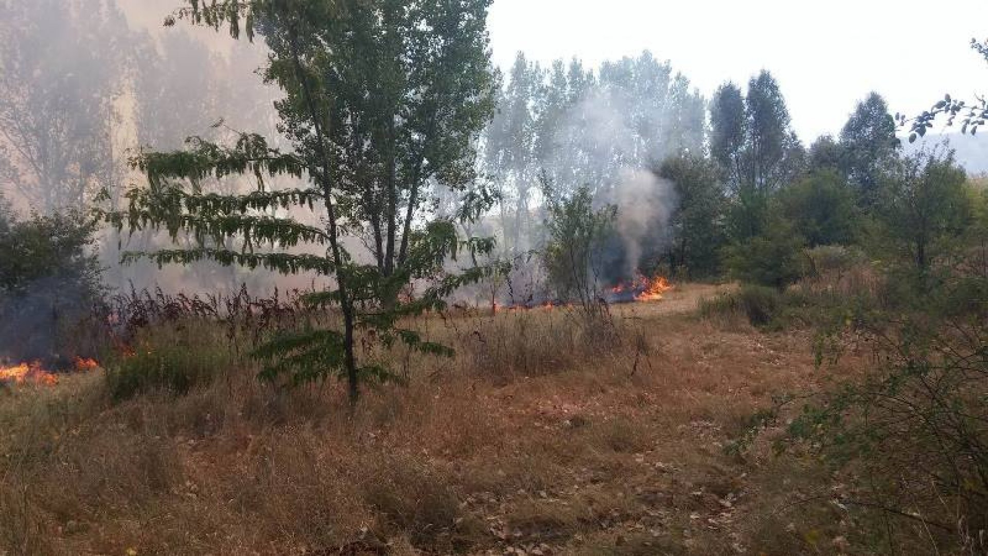 Голям пожар в гора край Малко Търново - E-Burgas.com