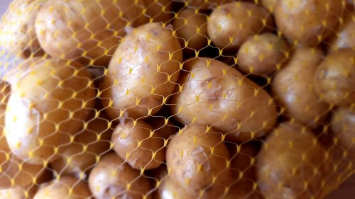 Поне 100 тона пилешко със салмонела стигнало до българския пазар - E-Burgas.com