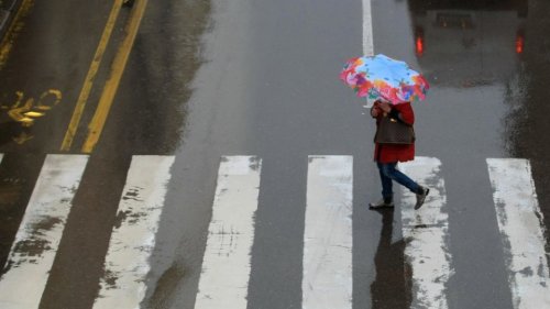 Бургас отбелязва Световния ден на влажните зони - E-Burgas.com