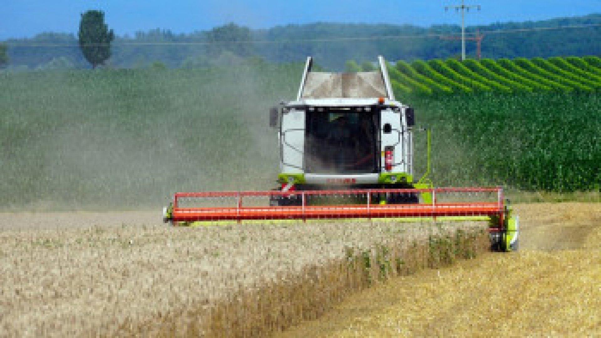 Според земеделския министър няма опасност от зърнена криза  - E-Burgas.com