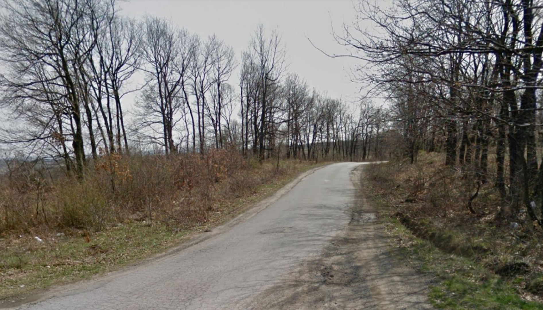 Младо момиче заби колата си в храсти на пътя между две руенски села - E-Burgas.com