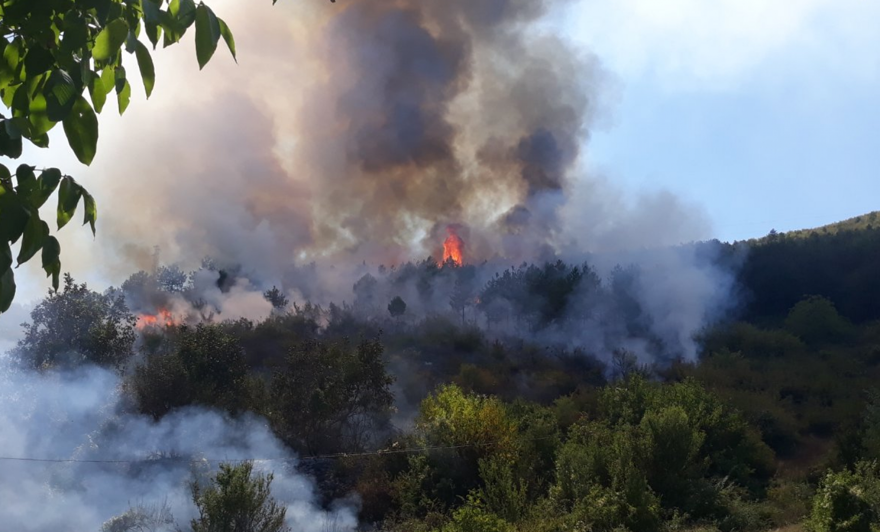 Овладени са пожарите край Несебър - E-Burgas.com