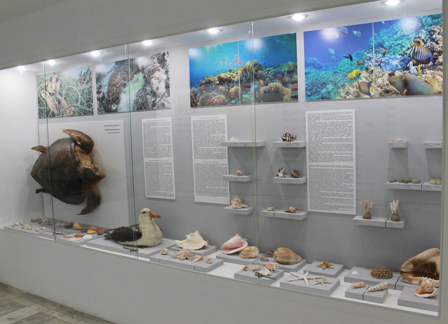 Природонаучният музей кани бургазлии на безплатна беседа - E-Burgas.com