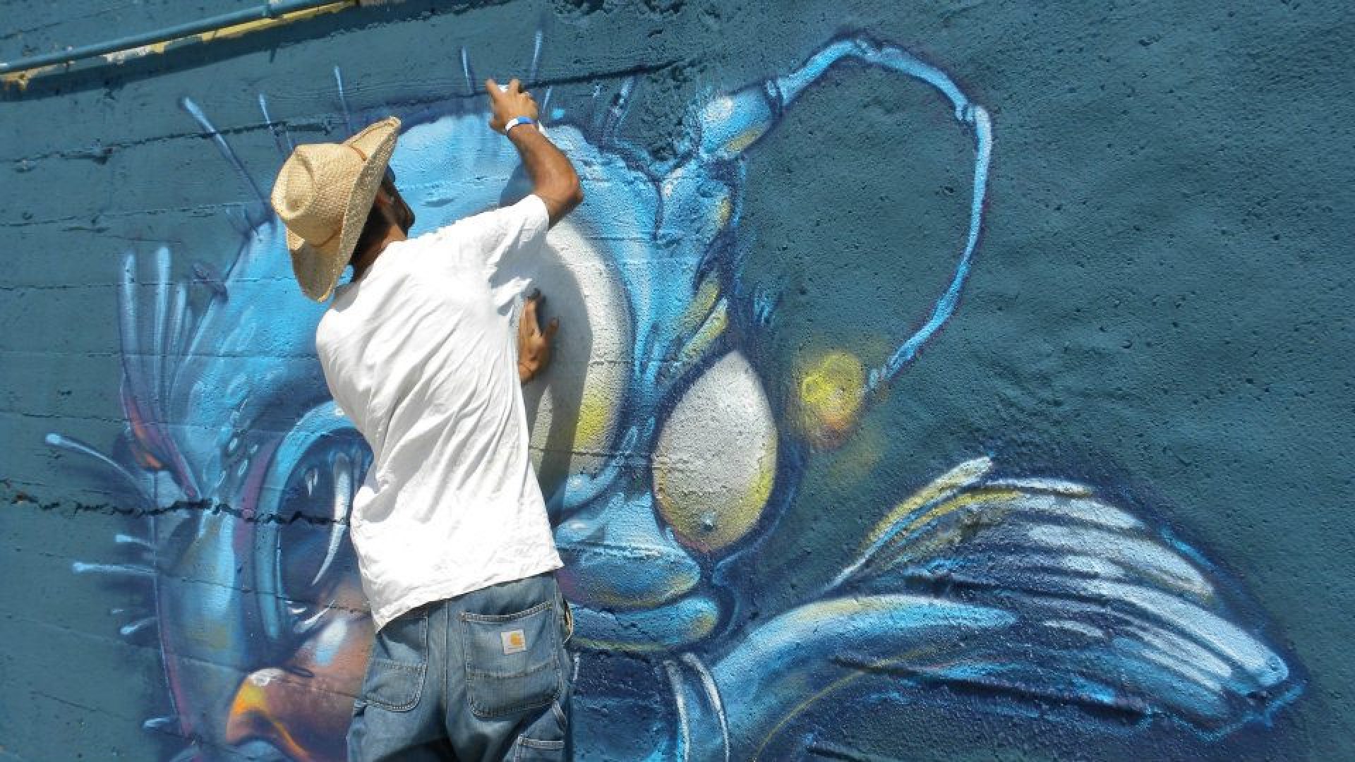 Един от най-добрите графит-майстори преобразява къща в Ченгенето  - E-Burgas.com