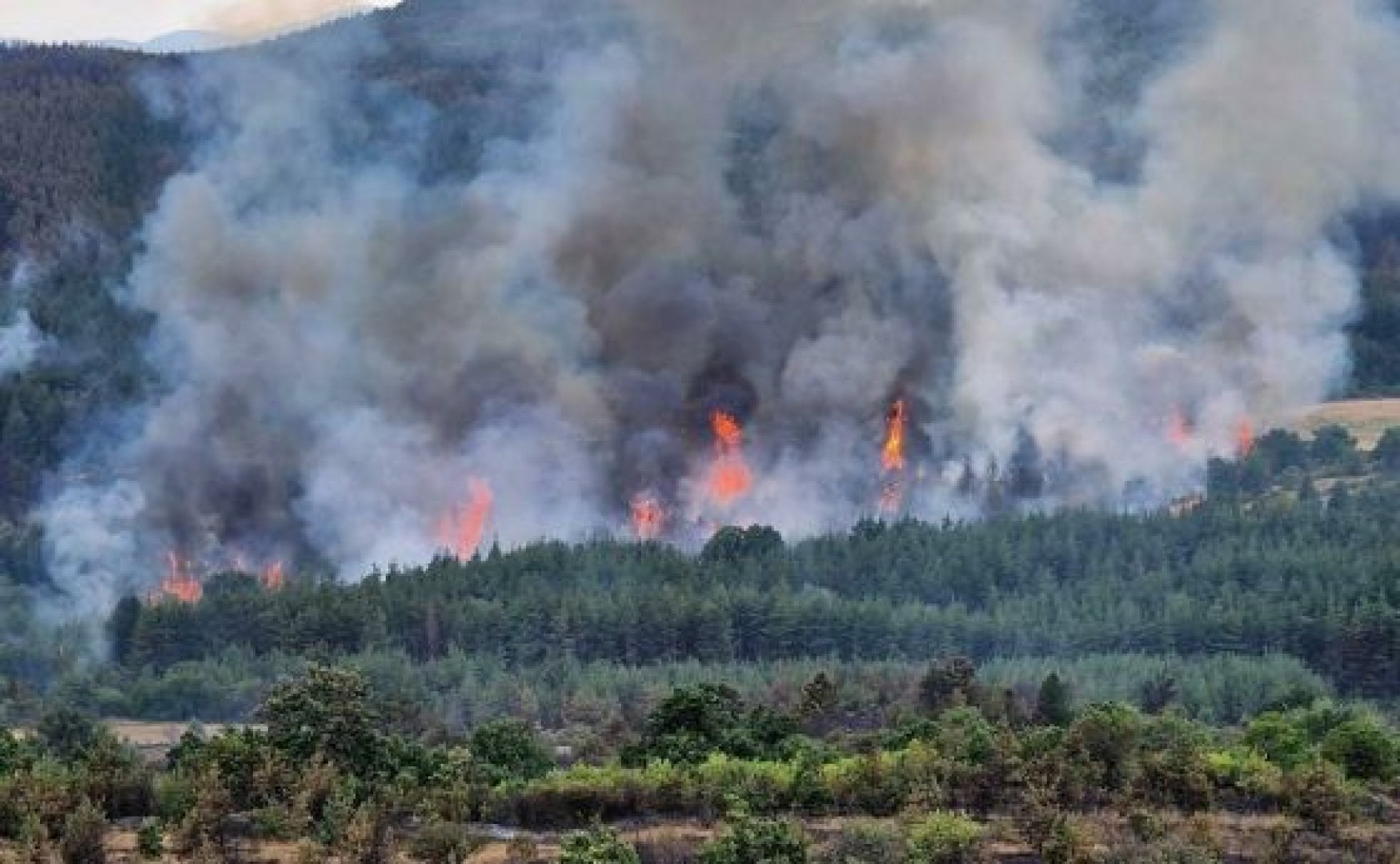 Бедствено положение в Хасковско, огнеборците не могат да овладеят пожара в Елшица - E-Burgas.com