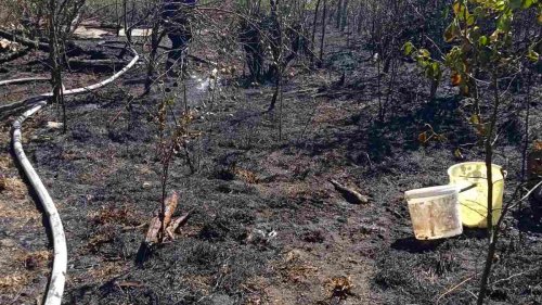 Цигани бракониери скочиха на горски служители, удариха им джипа (Снимки) - E-Burgas.com