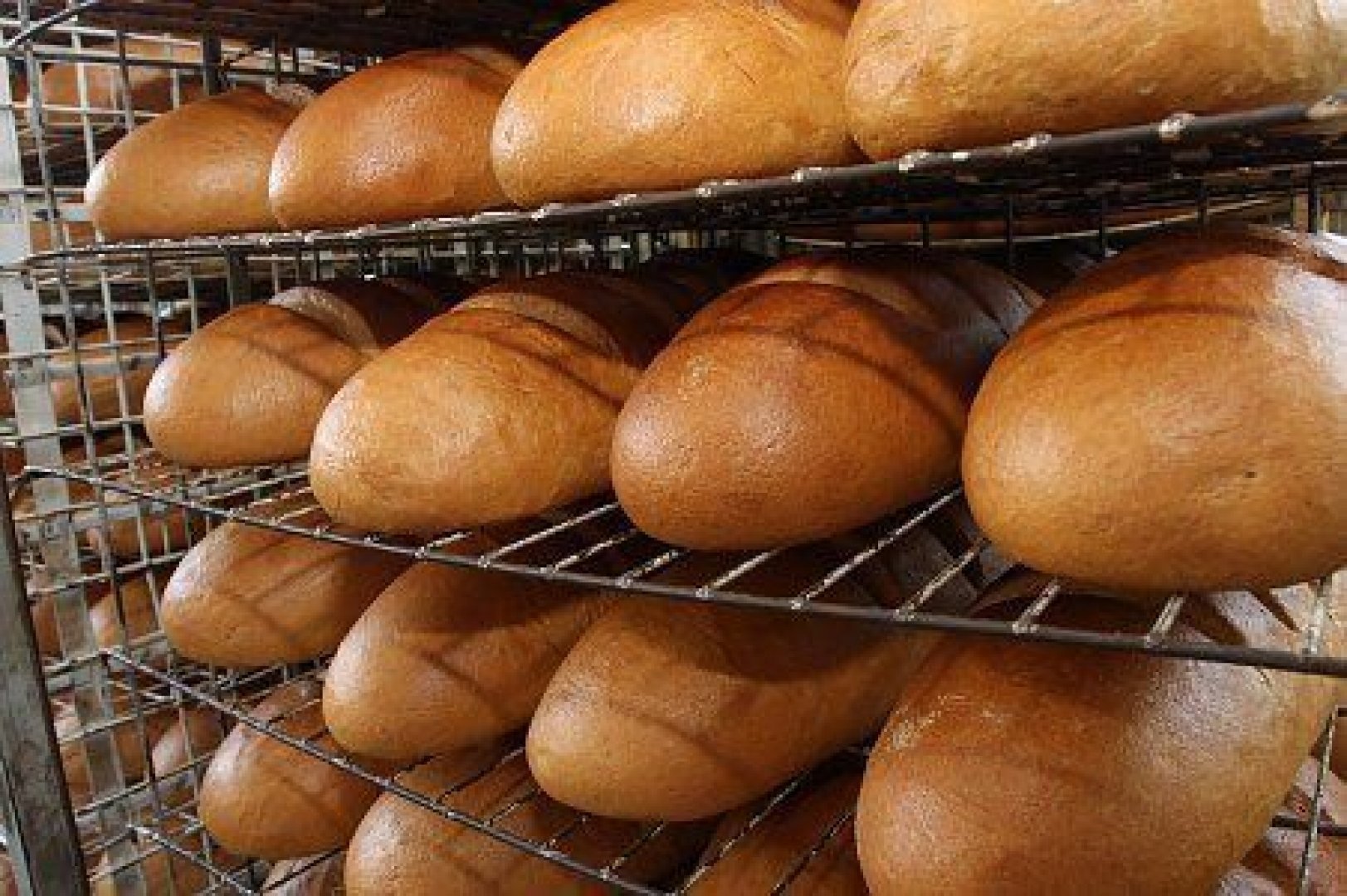 Хлябът в Бургас е сред най-скъпите в страната  - E-Burgas.com