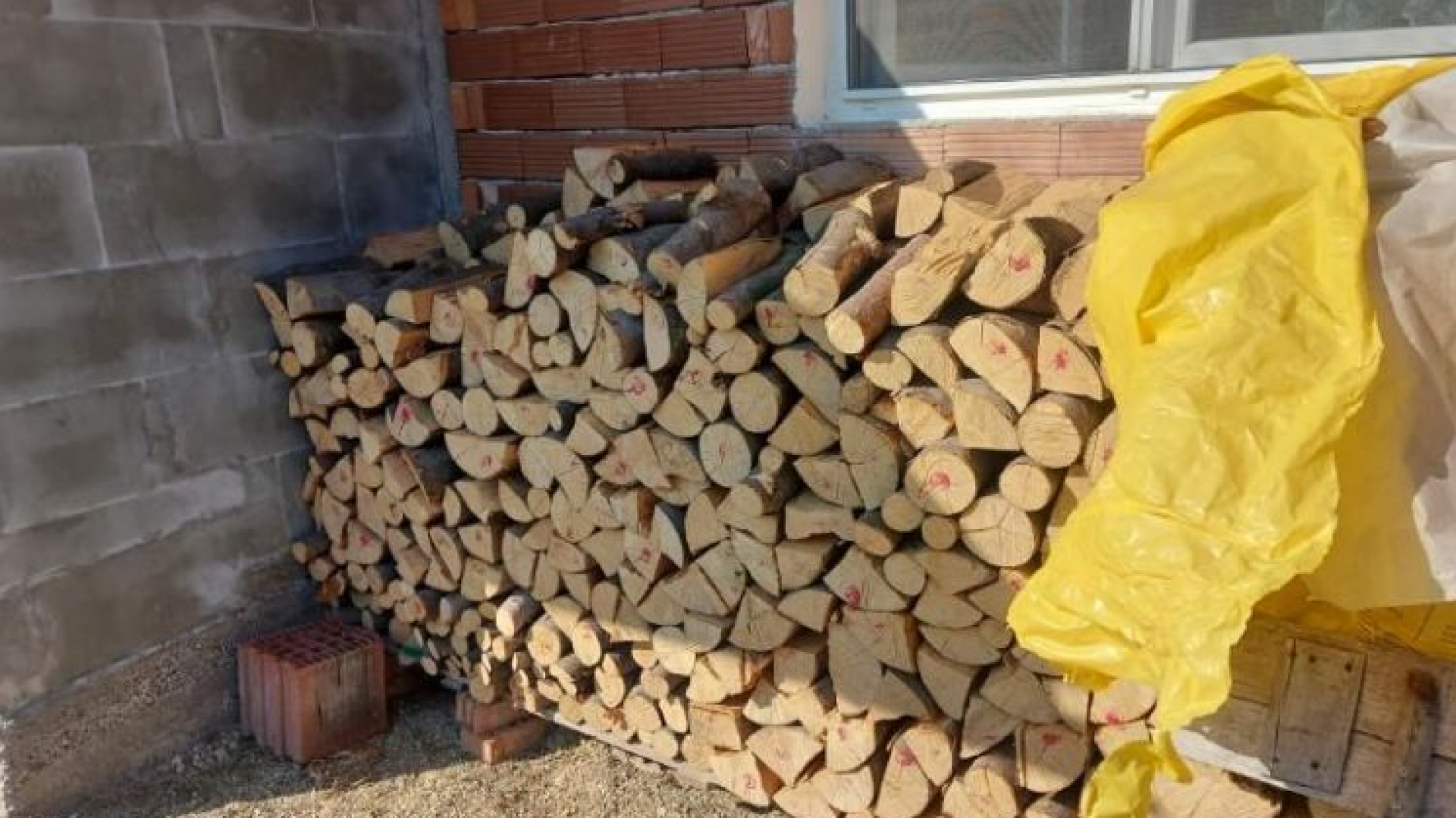 Агенцията по горите иззе огромно количество дърва за огрев през септември  - E-Burgas.com