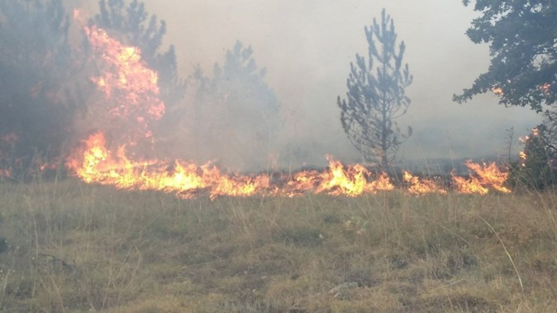 Пожарът в Родопите погълнал над 10 хил. декара гори - E-Burgas.com