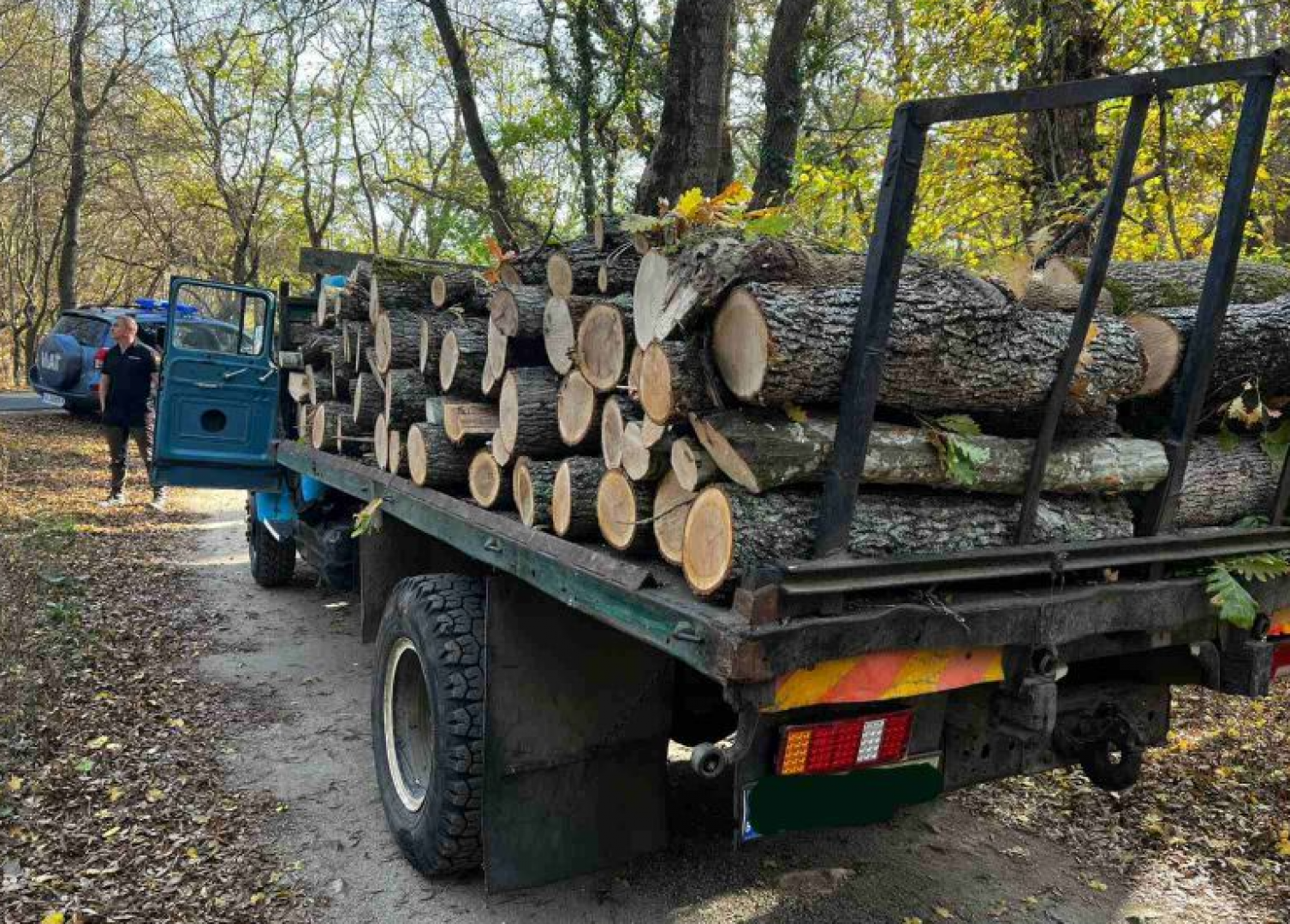 Нагъл нарушител опита да маркира незаконна дървесина по време на проверка край Приморско - E-Burgas.com