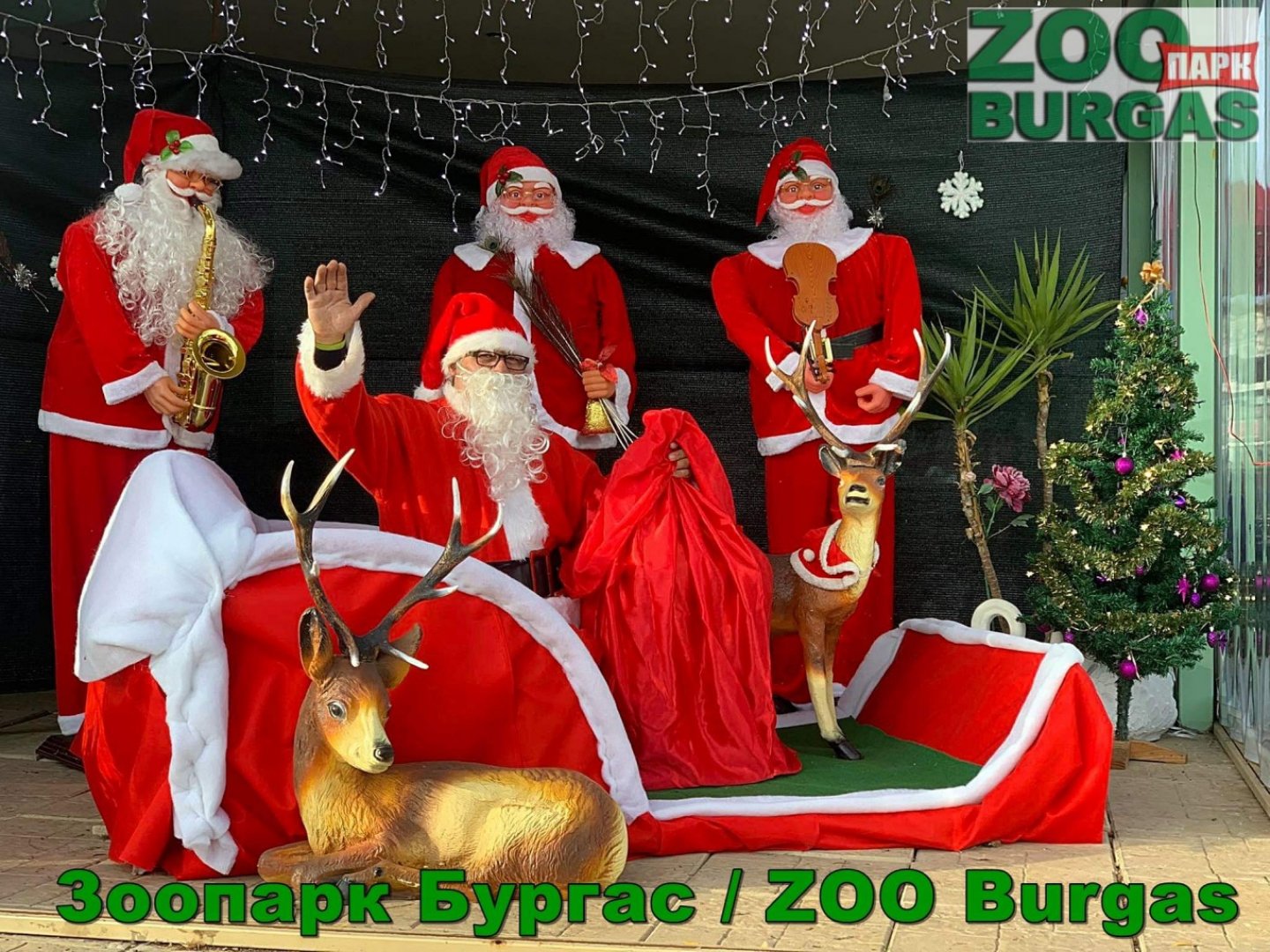 Зоопарк Бургас със специална празнична програма до Коледа - E-Burgas.com