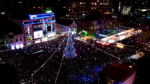 Еко Коледа в Бургас: Вземете жива елха, засадете я навън след празниците  - E-Burgas.com