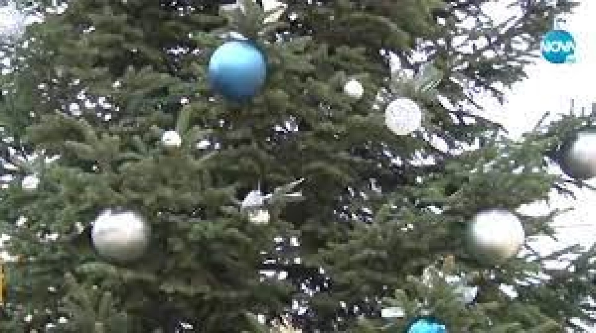 Коледна елха за над 100 000 лева в Сливен - E-Burgas.com