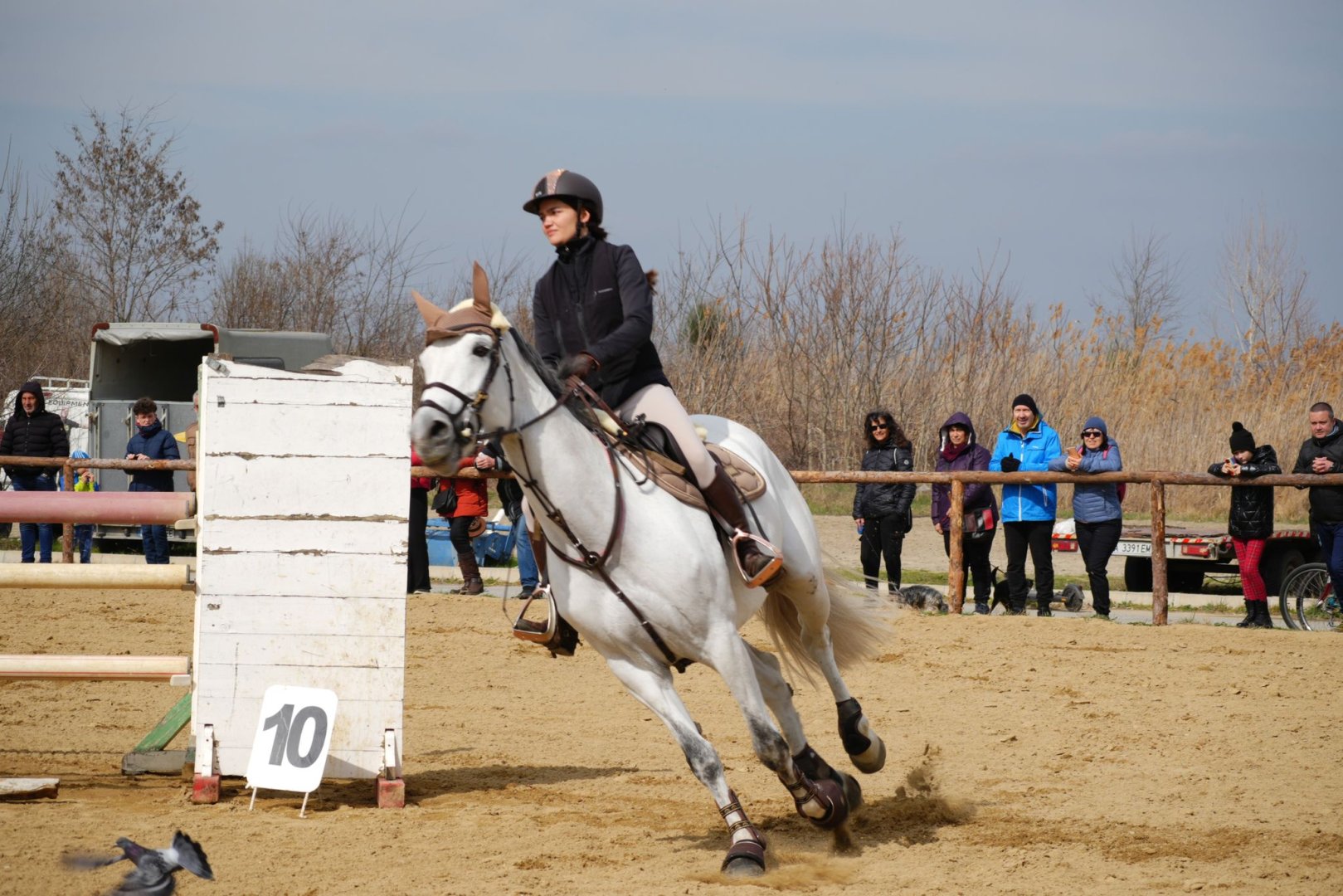Никулденски турнир по конен спорт ще зарадва жители и гости на Бургас - E-Burgas.com
