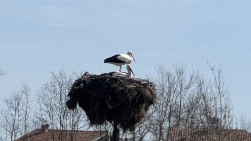 БЛС: Болници и клиники ще фалират!   - E-Burgas.com