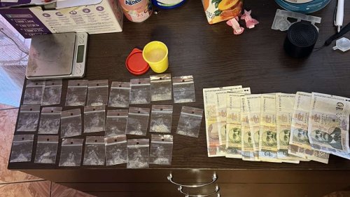 Най-добрите млади информатици идват на олимпиада в БСУ - E-Burgas.com